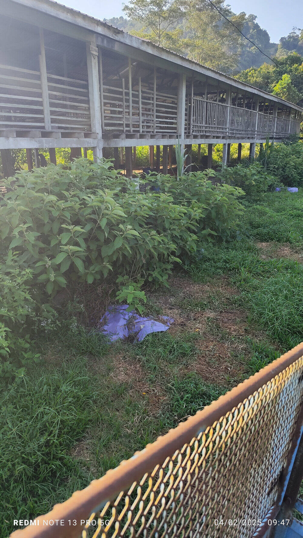 Farm Image 1