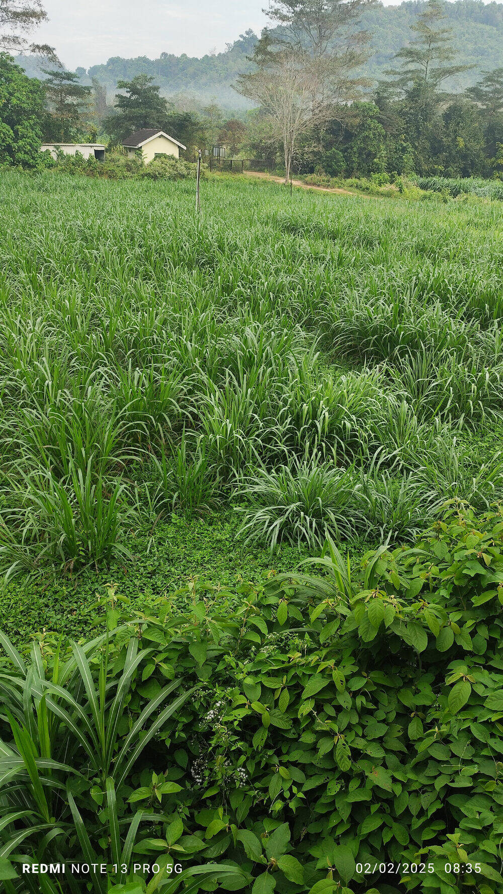 Farm Image 3