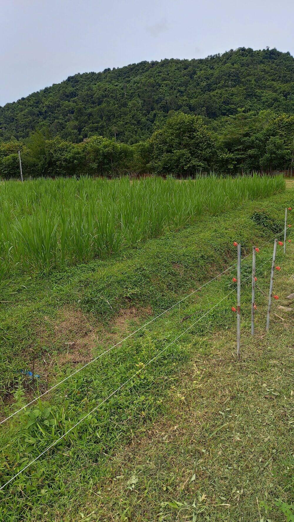 Farm Image 4