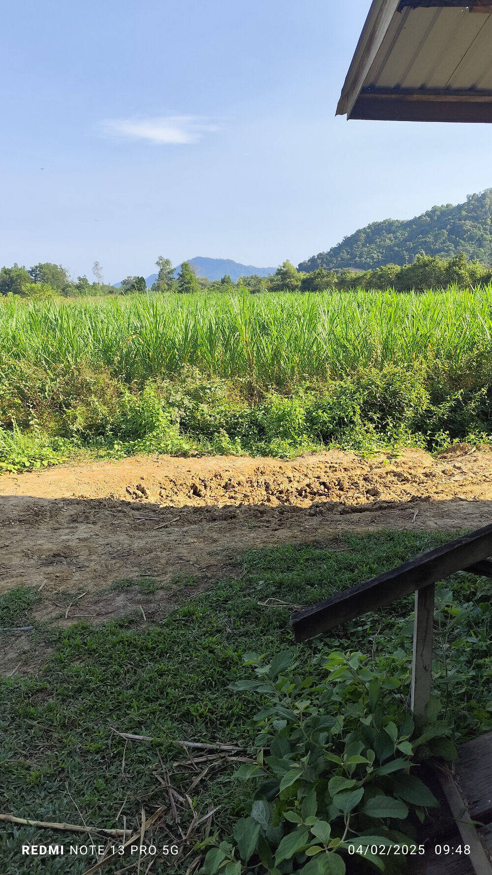 Farm Image 6