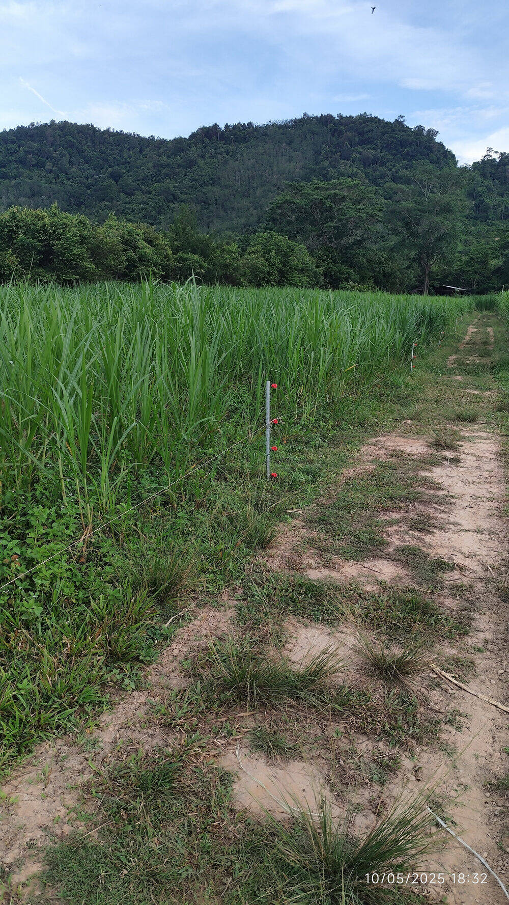 Farm Image 8